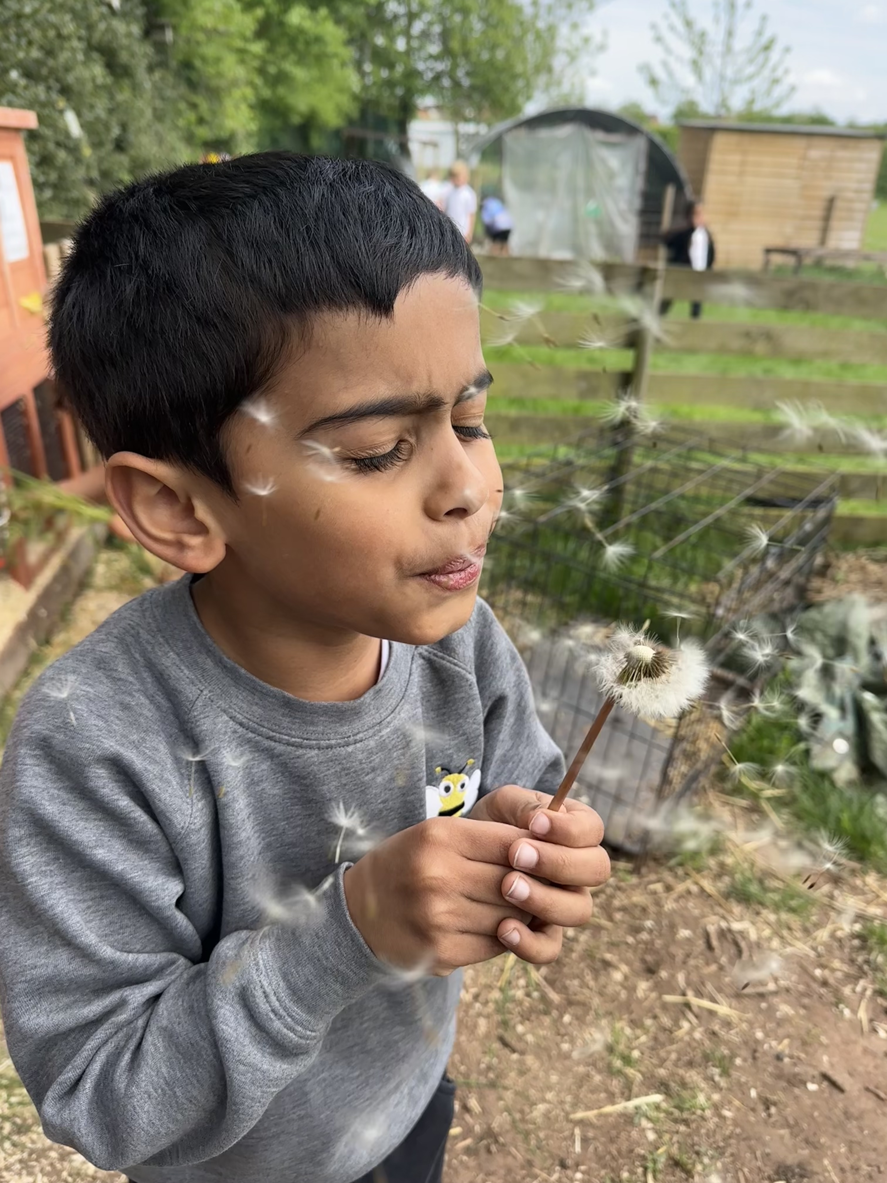 A Longlands pupil blowing the seeds from a dandelion outdoors.